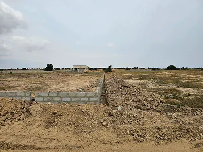 Affordable Half Plots