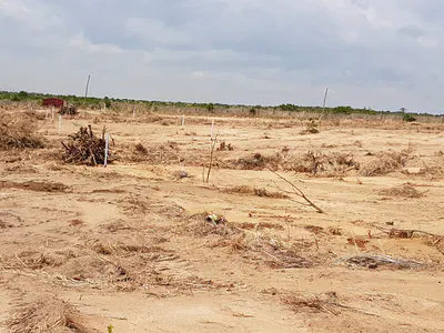 Full Plot Investment