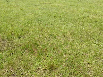Family Full Plot in Gated Community !