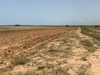 Own a Litigation Free Land