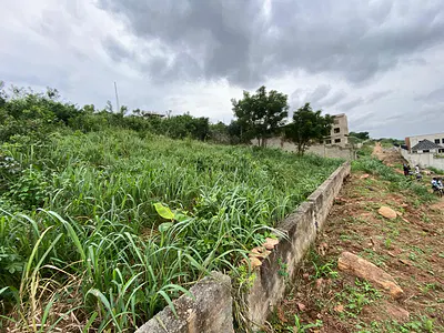 Executive 1 Plot