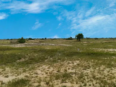 Flexible Plot Sizes Available