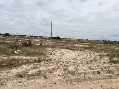 Shai Hills Advantage