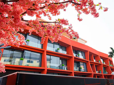 22 Hotel Apartment Available