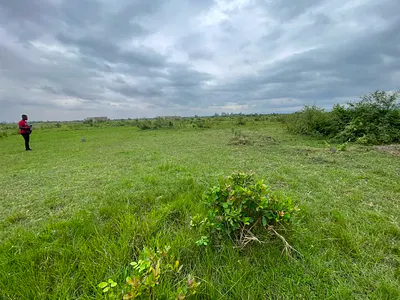 Smart Hillside Investment