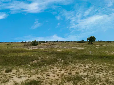 Own Land Today- Pay Easy