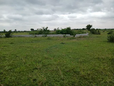 Own Your Half Plot Today -- Instant Ownership"