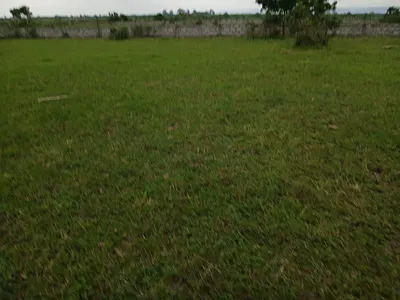 Secure Your Plot at Shai Hills -- Easy 6-Month Payments"