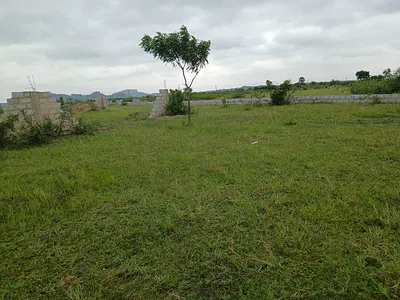 Own a Registered Full Plot -- Pay in 12 Easy Months