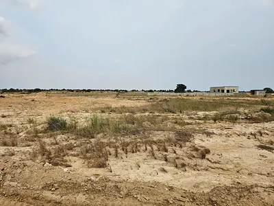 Special Land Promo Offer