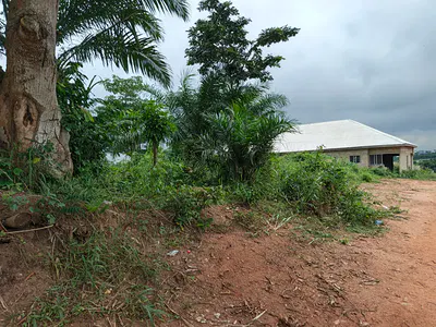 2 Plots