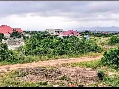 Title and Litigation Free Lands