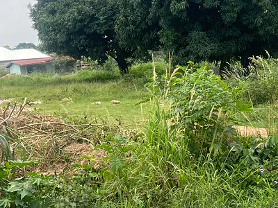 Prime Residential Land — Kumasi Metropolitan, Ashanti