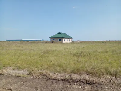 Golden Acre Opportunity