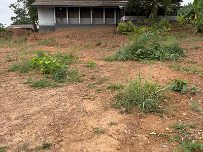 Prime Residential Plot