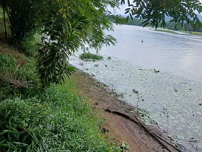 Prime Riverfront Land with Utilities in a Resort Community