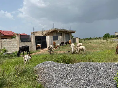 Affordable Fast Developing Lands-Afienya