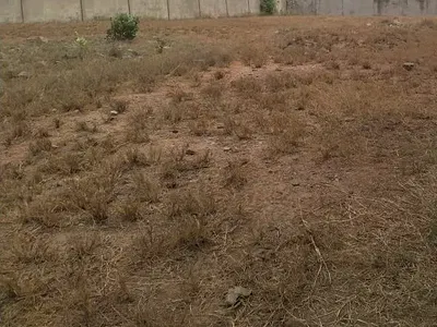 Walled 1 Acre (4 Plots) Road Front Land