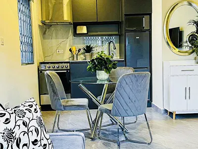 Executive 1 Bedroom Furnished Apartment