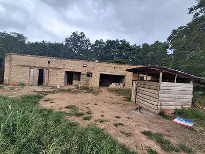 3000 Birds Capacity Poultry Farm and 200pigs Capacity Pig Pen — Off Biemso No.1 _offinso Road, Ahafo Ano South, Ashanti