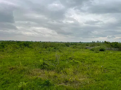 Stress-Free Land Buying: Affordable 70X50FT Plot — Dedenya, Shai Hills, Shai Osudoku, Accra
