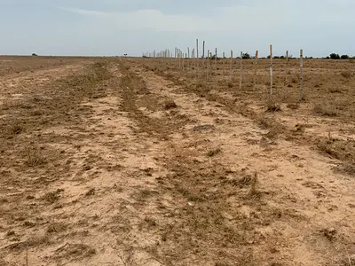 Genuine Afienya (Sunset Hills) Estate Lands — Afienya, Tema, Accra