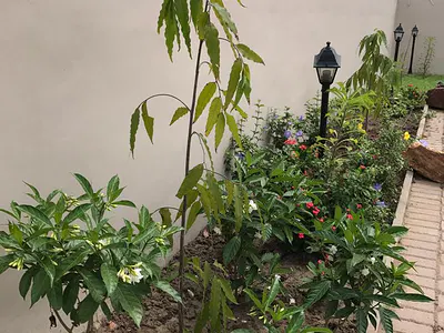 Quiet, Homely, Soft & Cosy 3-Bed — West Legon Road, Accra, East Legon Hills, East Legon, Accra