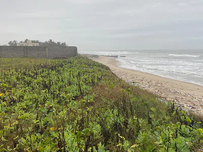 Walled Titled Registered 4 Plots Mixed-Use Land, Direct Beachfront — Ningo Prampram District, Accra