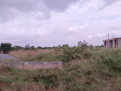 2 Plots of Land — Odumse, Afienya, Tema, Accra