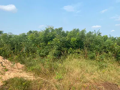 Titled Plots of Land — Katamanso - Cocobod, East Legon Hills, East Legon, Accra
