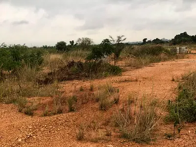 Afienya's Best Land Investment Starts Here — Afienya, Tema, Accra