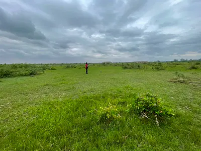 Low Cost 70X100FT Plot at Shai Hills — Shai -Hills, Shai Hills, Shai Osudoku, Accra