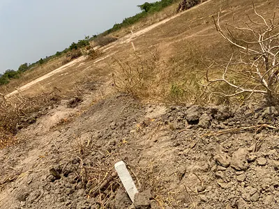 Residential Land Plot — Afienya, Tema, Accra