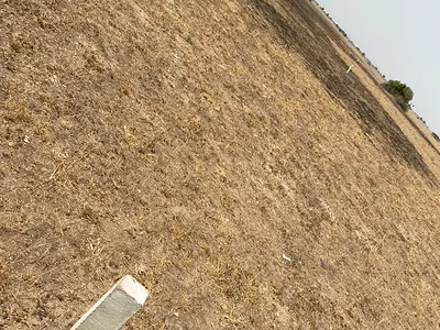 Residential Land Plot — Afienya, Tema, Accra