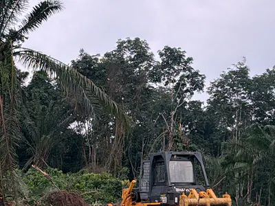Residential Land with Mountain View — Aburi Adontin, Aburi, Akuapim South Municipal, Eastern Region