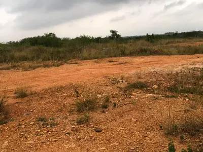 Residential Land Plot — Afienya, Tema, Accra