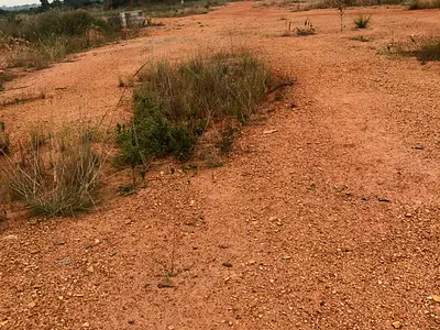 Residential Land Plot — Tema, Accra