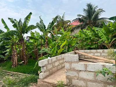 One Plot of Land — Behind the Police Station, Tse Addo, Accra