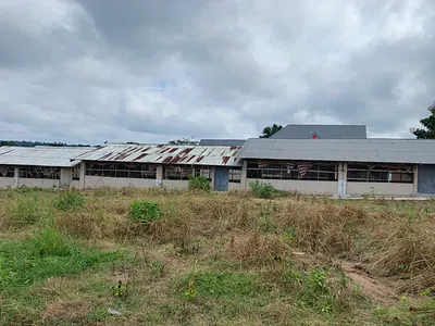 Poultry Farm. & Fish Farm — Daaso, Near Offinso., Offinso North, Ashanti