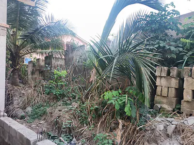Plot / Land. (Close to Main Road) — Denkyembuoso Antwima Techiman, Near Kwadaso Sofoline., Kumasi Metropolitan, Ashanti