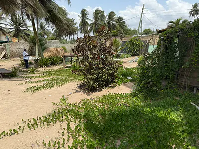 Beach View 2 Plots — Nyanyano, Gomoa West, Central Region