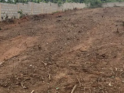 Registered 3 Acres Behind Safari Valley Eco Park — Safari Valley Eco Park Area, Akuapim North, Eastern Region