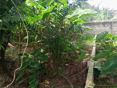 Residential Land — Canada, Pokuase (Pokoasi), Ga West Municipal, Accra