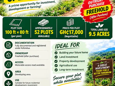 Farmland — Adawsu (Aboabu), Koforidua, Eastern Region
