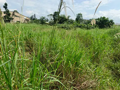 Filling Station Plot / Land — Ejisu-Juaben Municipal, Ashanti