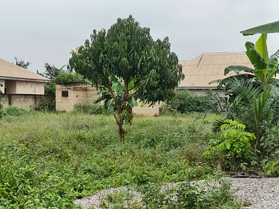 Plot of Land — Kenyasi Bosore, Kumasi Metropolitan, Ashanti