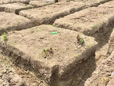 Residential Lands — Afienya, Tema, Accra
