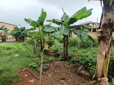 Plot of Land — Near Buokrom Estate Junction, Kumasi Metropolitan, Ashanti