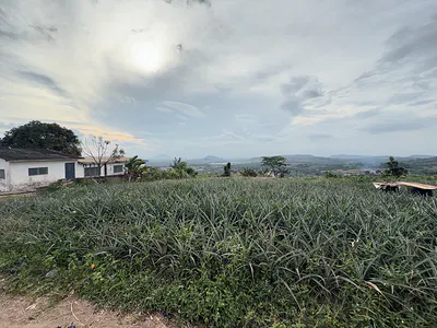 Residential Land Aburi-Amanfrom — Next to the Kingdom Estate, Aburi, Akuapim South Municipal, Eastern Region