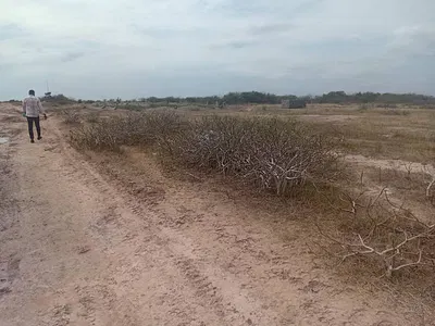 Well Demarcated Land — Tsopoli, Ningo Prampram District, Accra